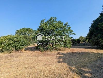 /international/fr/mauze-sur-le-mignon-charente-310101926985/