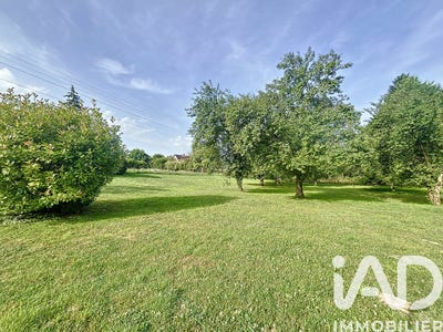 /international/fr/nargis-centre-val-de-loire-310103764044/