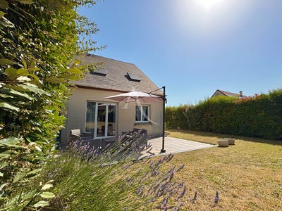 /international/fr/trainou-centre-val-de-loire-310109045007/