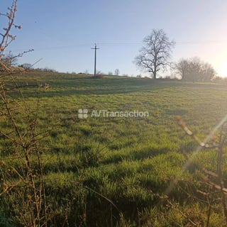 /international/fr/gy-centre-val-de-loire-310106464891/