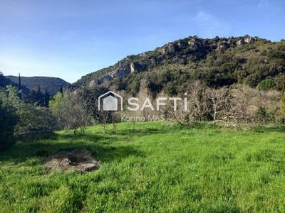 /international/fr/felines-termenes-languedoc-roussillon-310103246665/