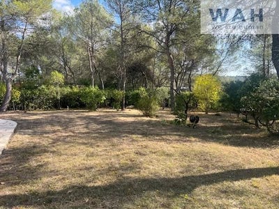 /international/fr/saint-clement-de-riviere-languedoc-roussillon-310105912261/