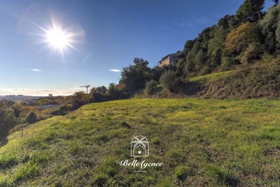 /international/fr/saint-laurent-du-var-provence-alpes-cote-d-azur-310107743385/