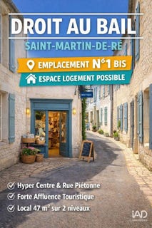 /international/fr/saint-martin-de-re-charente-310103609406/