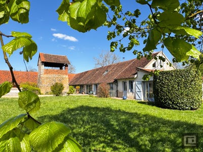 /international/fr/tournus-burgundy-310107046846/