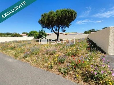 /international/fr/le-bois-plage-en-re-charente-310106054125/