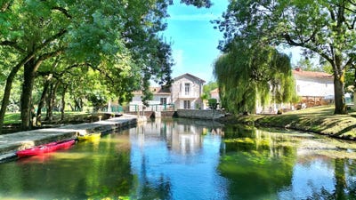 /international/fr/chenon-charente-310104100386/