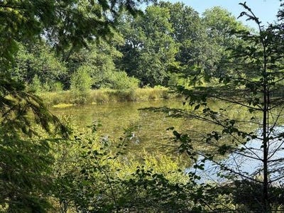 /international/fr/cieux-limousin-310100548771/