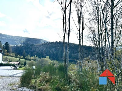 /international/fr/gerardmer-lorraine-310104796978/