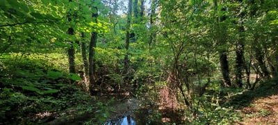 /international/fr/festigny-burgundy-310107582699/