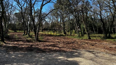 /international/fr/saint-siffret-languedoc-roussillon-310103083624/
