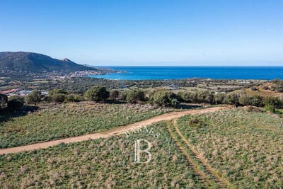 /international/fr/corbara-corsica-310100604391/