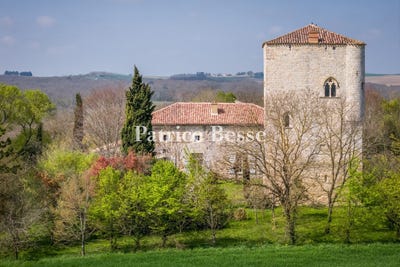 /international/fr/lectoure-midi-pyrenees-310107709106/