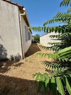/international/fr/lunel-languedoc-roussillon-310100953652/