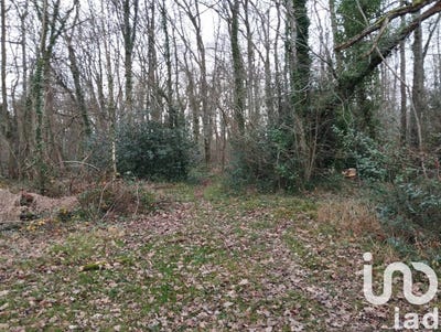 /international/fr/vezilly-picardie-310100435016/