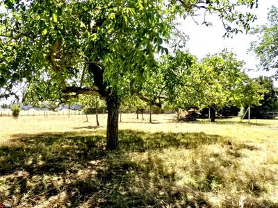 /international/fr/sainte-gemme-la-plaine-pays-de-la-loire-310102479980/