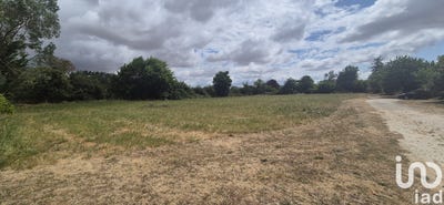 /international/fr/bernay-saint-martin-charente-310108597666/