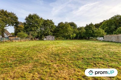 /international/fr/guerande-pays-de-la-loire-310103176718/