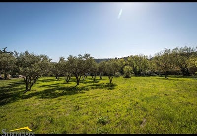 /international/fr/pezenas-languedoc-roussillon-310107430843/