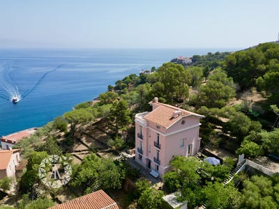 /international/fr/cerberus-languedoc-roussillon-310105081853/