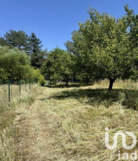 /international/fr/linas-ile-de-france-310100484991/