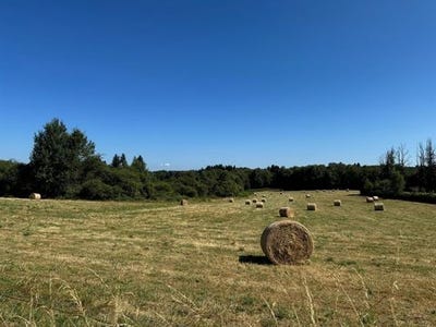 /international/fr/cussac-limousin-310104007096/
