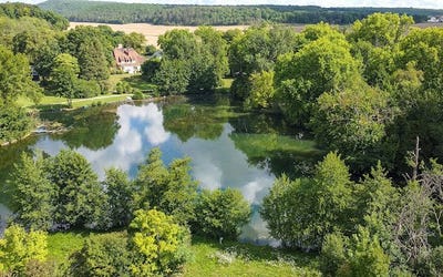 /international/fr/dienay-burgundy-310102838249/
