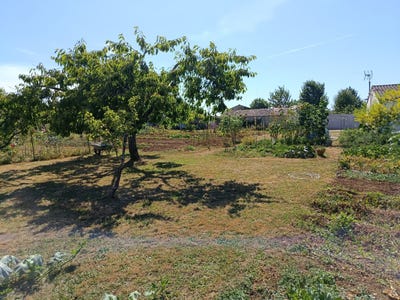 /international/fr/saint-pompain-charente-310100732635/