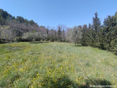 /international/fr/sarrians-provence-alpes-cote-d-azur-310108792315/