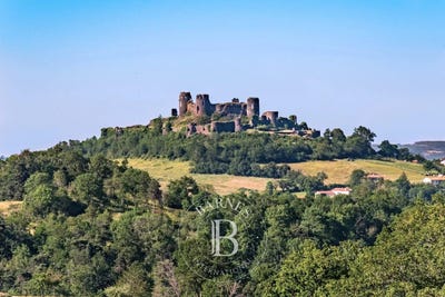 /international/fr/mauzun-auvergne-310105518615/