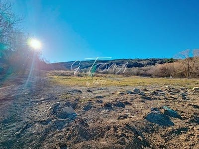 /international/fr/osseja-languedoc-roussillon-310103617996/
