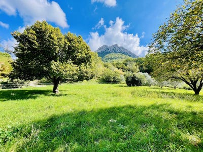 /international/fr/buis-les-baronnies-rhone-310102865188/