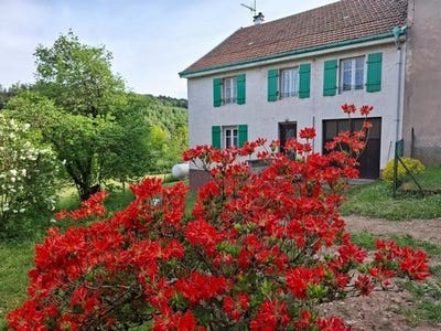 /international/fr/moyenmoutier-lorraine-310108488303/