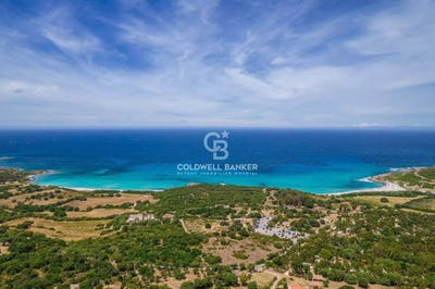 /international/fr/corbara-corsica-310108839681/