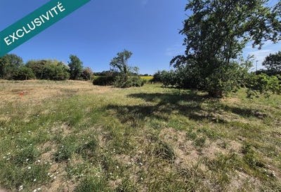 /international/fr/saint-cyr-en-talmondais-pays-de-la-loire-310109383512/