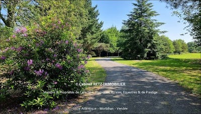 /international/fr/baden-brittany-310101081389/