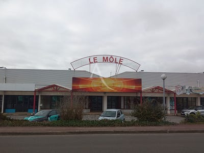 /international/fr/challans-pays-de-la-loire-310106399520/