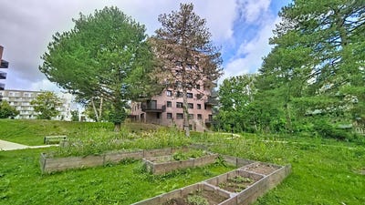 /international/fr/massy-ile-de-france-310108727498/