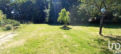 /international/fr/martinet-pays-de-la-loire-310100823020/