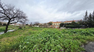 /international/fr/perpignan-languedoc-roussillon-310105924872/