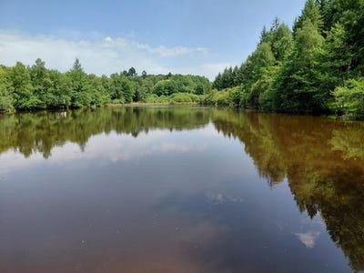 /international/fr/pensol-limousin-310100763510/