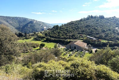 /international/fr/narbonne-languedoc-roussillon-310101469376/