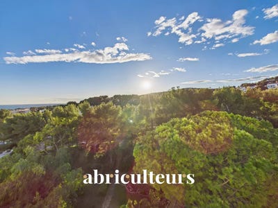 /international/fr/290-boulevard-de-marseille-bandol-provence-alpes-cote-d-azur-310100664686/