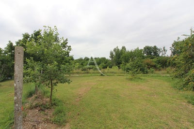 /international/fr/montauban-midi-pyrenees-310104465659/