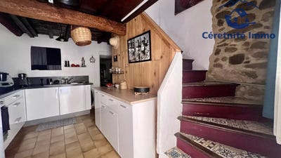 /international/fr/saint-jean-pla-de-corts-languedoc-roussillon-310109911626/