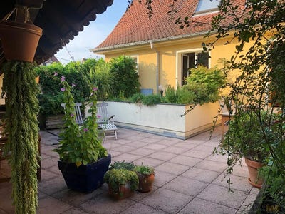 /international/fr/soultz-haut-rhin-alsace-310100659754/