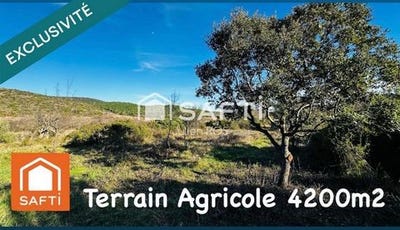 /international/fr/gabian-languedoc-roussillon-310105761806/