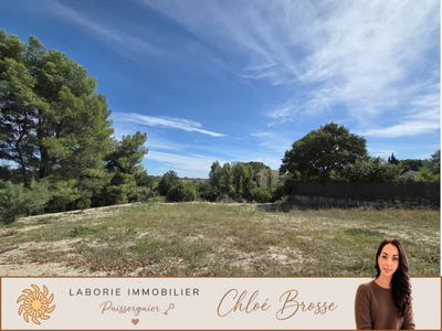 /international/fr/pailhes-midi-pyrenees-310101711131/