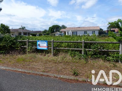 /international/fr/saint-pierre-du-mont-burgundy-310108555375/