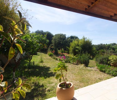 /international/fr/calcatoggio-corsica-310101134887/